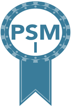 Galeria PSM I
